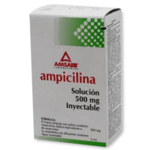 AMPICILINA 500MG/2ML SOL INY C/1 2ML *ANT*