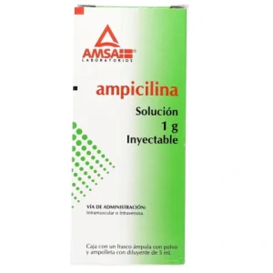AMPICILINA 1GR/5ML SOLUC INY C/1 5ML *ANT* IM/IV
