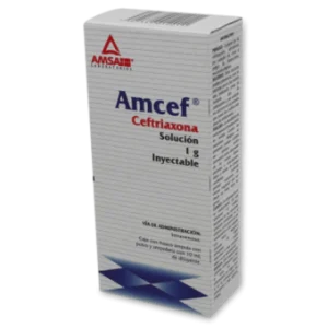AMCEF 1GR/10ML SOL INY IV C/1 *ANT*PE L