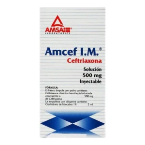 AMCEF 500MG/2ML SOL INY I.M. C/1 *ANT* L